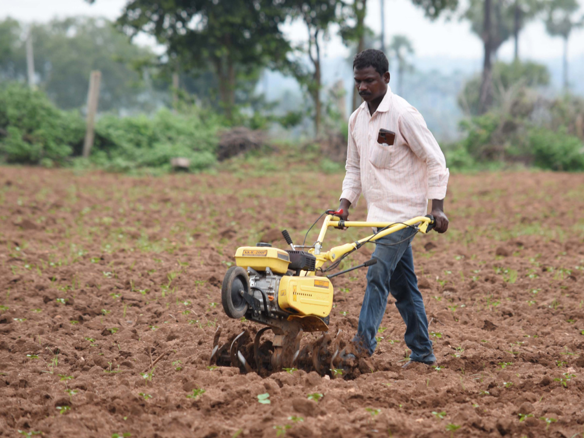 Best photos of the week 18 july to 25, 2021 Photo Gallery - Sakshi27