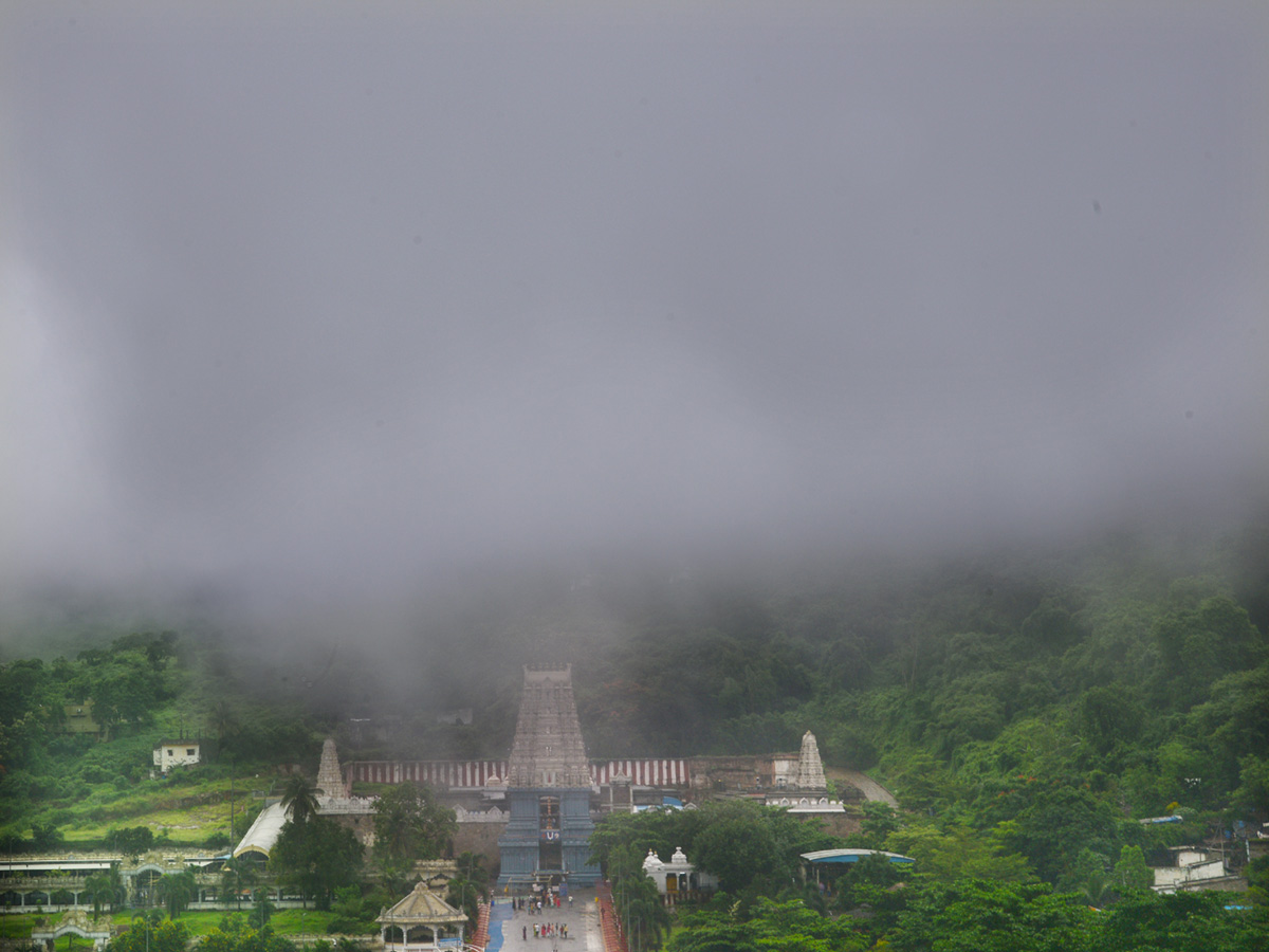 Best photos of the week 18 july to 25, 2021 Photo Gallery - Sakshi30