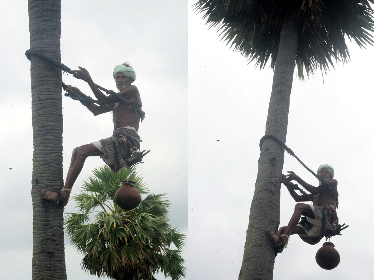 Best photos of the week 18 july to 25, 2021 Photo Gallery - Sakshi11