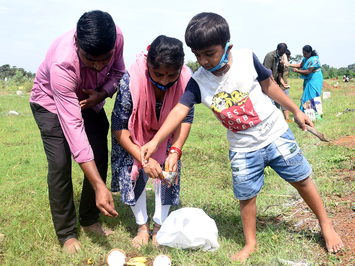 YSR Jagananna colonies photos - Sakshi33