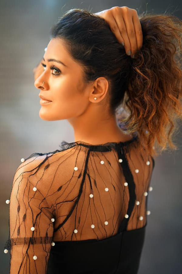 Payal Rajput Latest Pictures Photo Gallery - Sakshi2