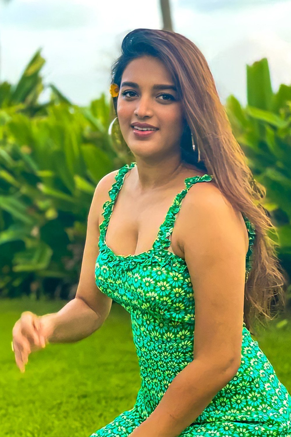 Tollywood Beauty Nidhhi Agerwal Photo Gallery - Sakshi5