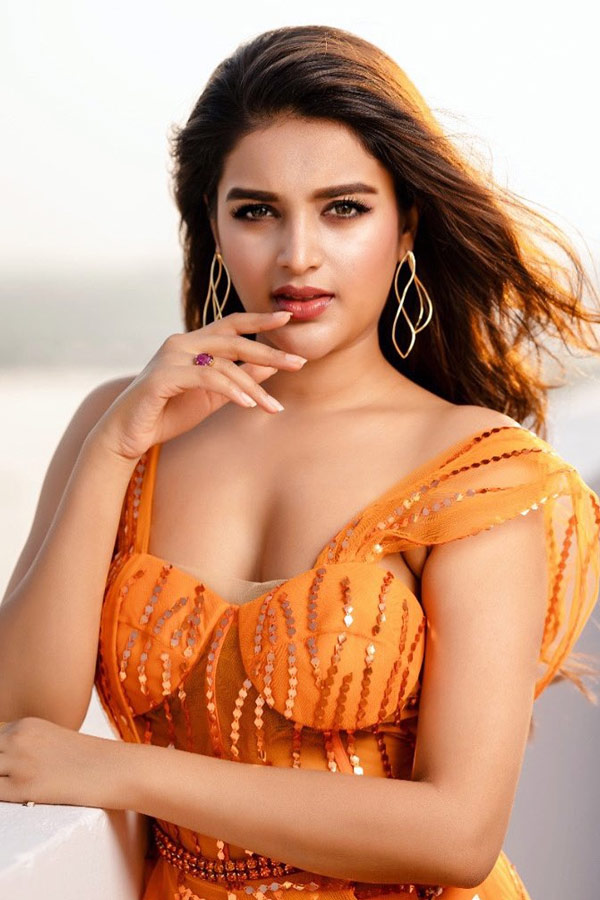 Tollywood Beauty Nidhhi Agerwal Photo Gallery - Sakshi6