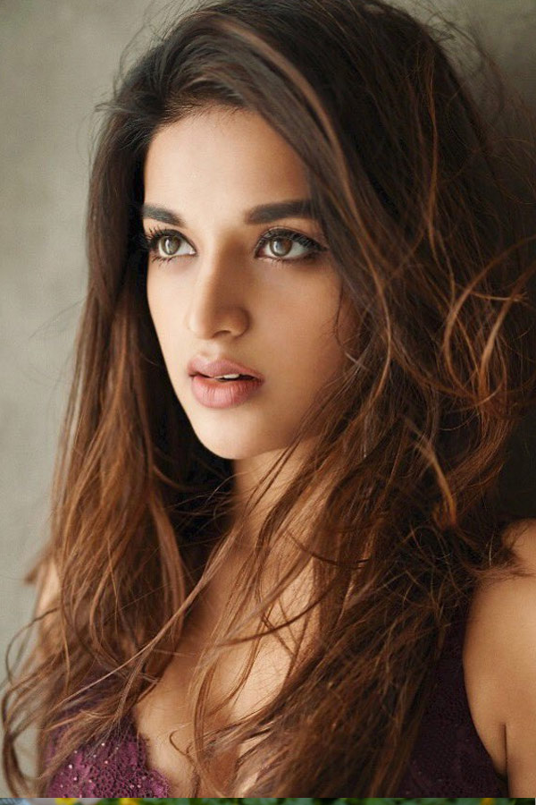 Tollywood Beauty Nidhhi Agerwal Photo Gallery - Sakshi11