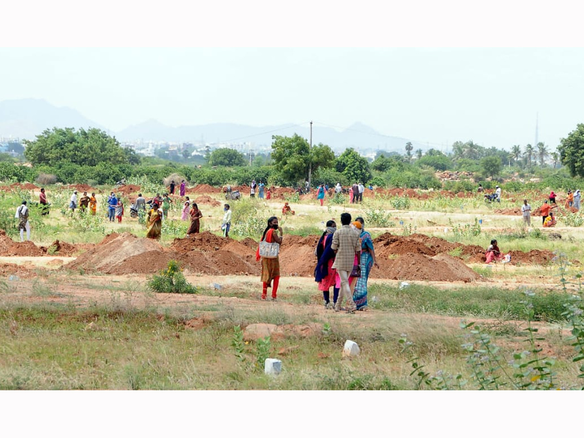 House construction in Jagananna colonies Photo Gallery - Sakshi26