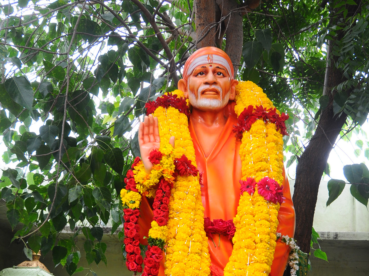 Best photos of the week 01 August to August 08, 2021 Photo Gallery - Sakshi12