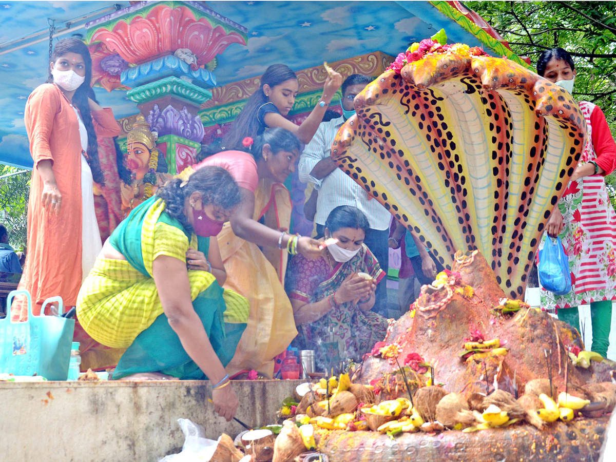 Nag panchami Photos - Sakshi19