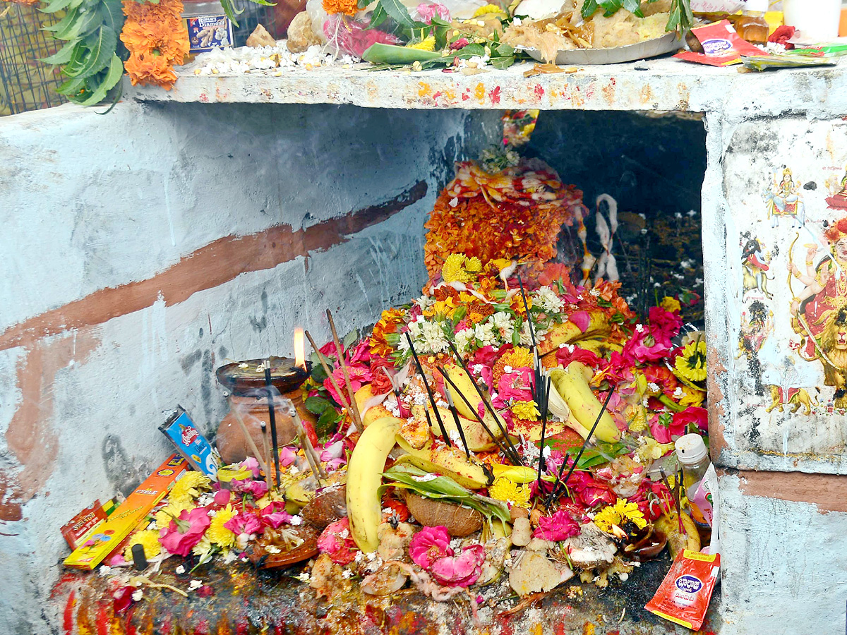 Nag panchami Photos - Sakshi12