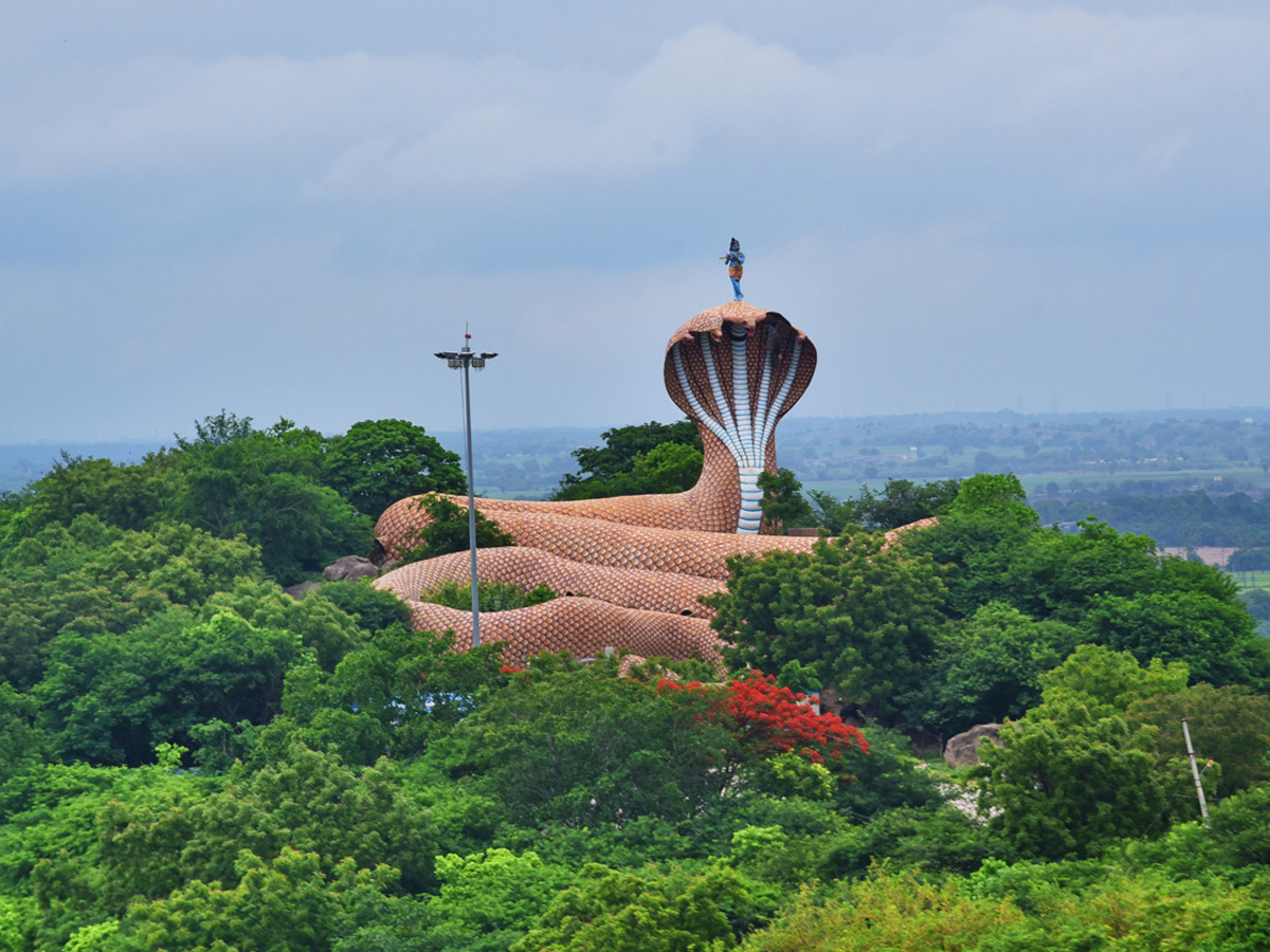 WorldPhotographyDay Photos - Sakshi47