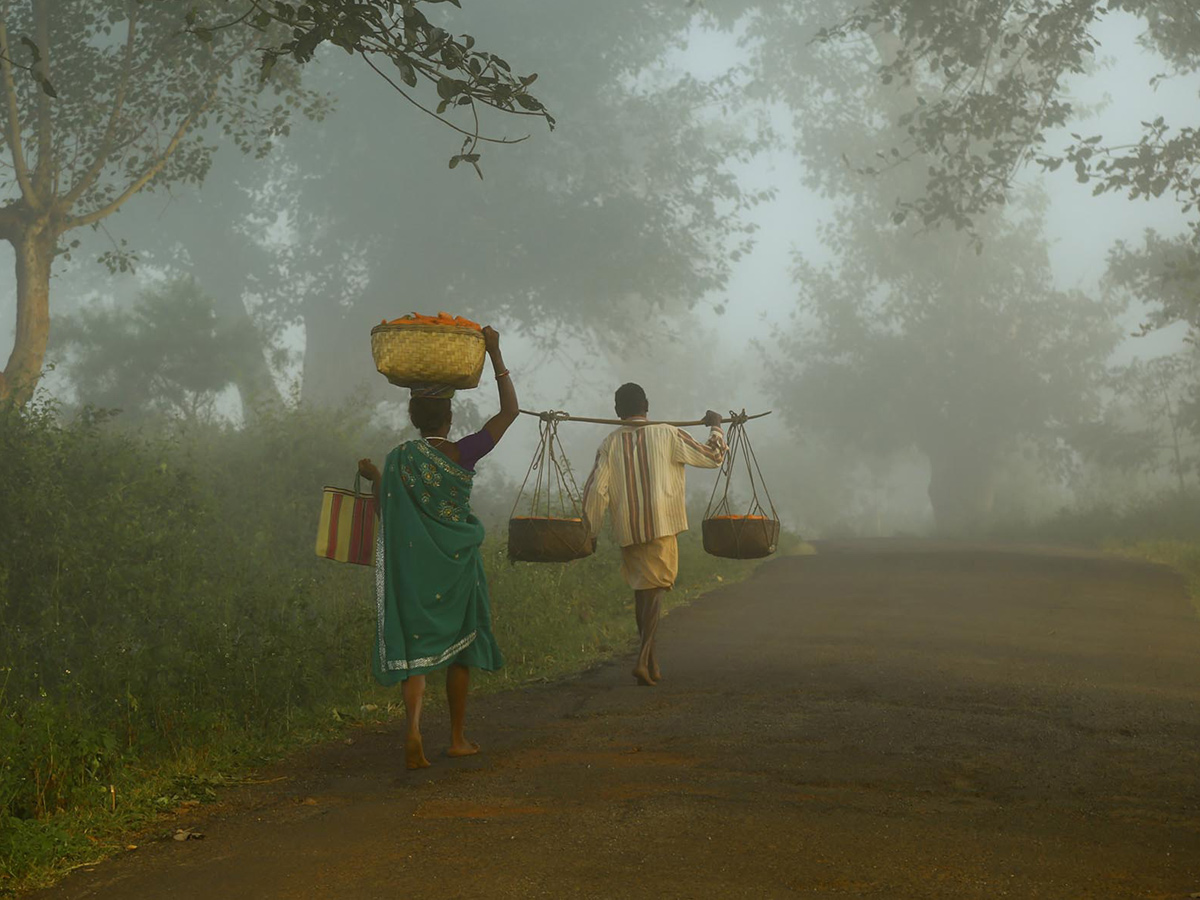 WorldPhotographyDay Photos - Sakshi52
