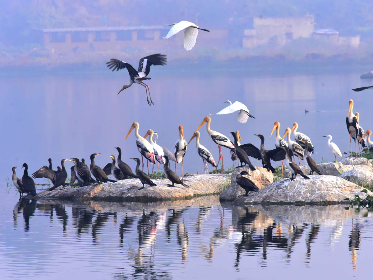 WorldPhotographyDay Photos - Sakshi31