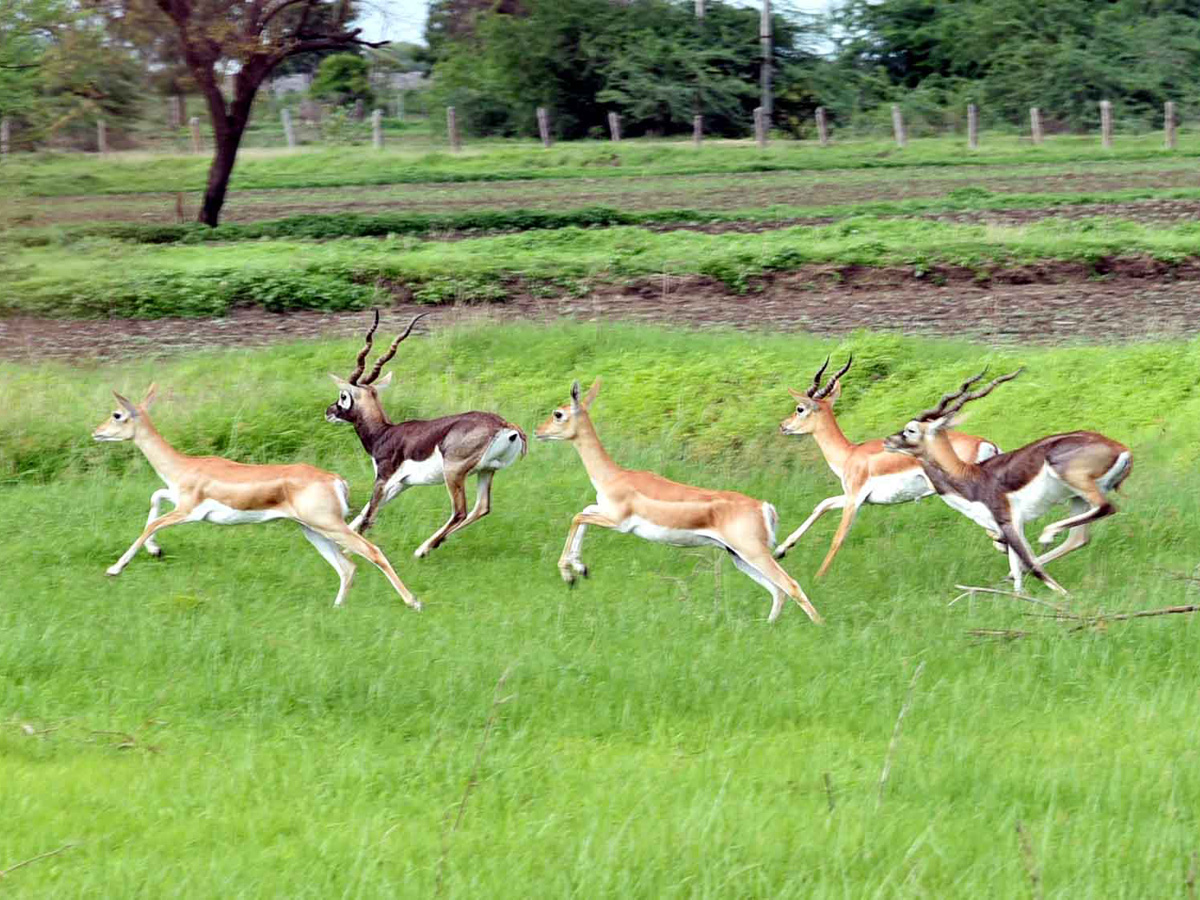 WorldPhotographyDay Photos - Sakshi32