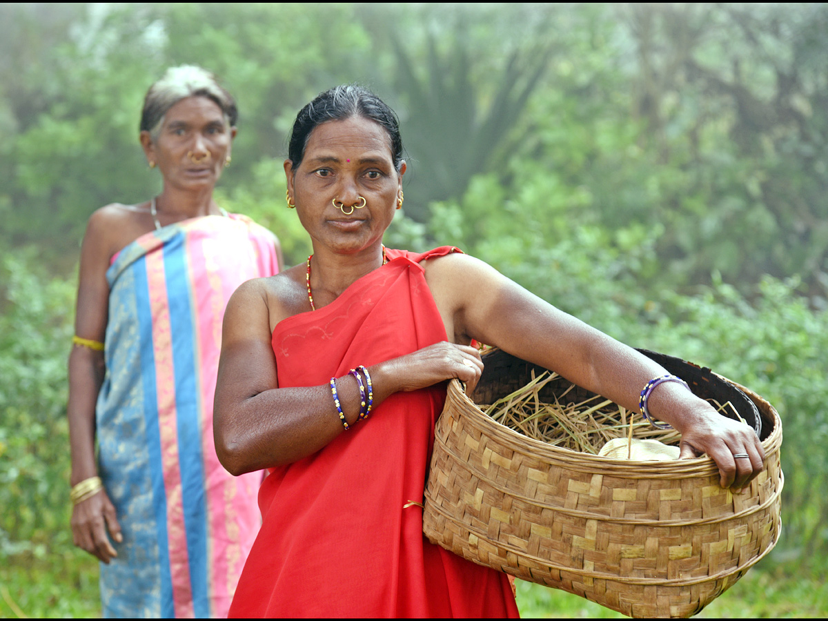 World Photography Day Photo Gallery - Sakshi2