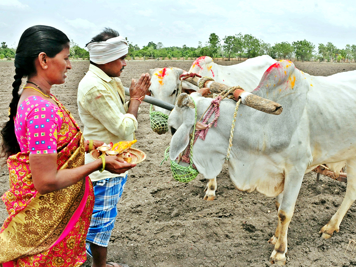 World Photography Day Photo Gallery - Sakshi11
