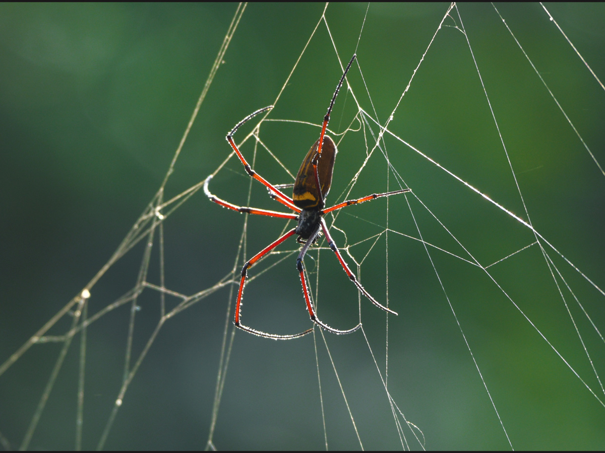World Photography Day Photo Gallery - Sakshi17