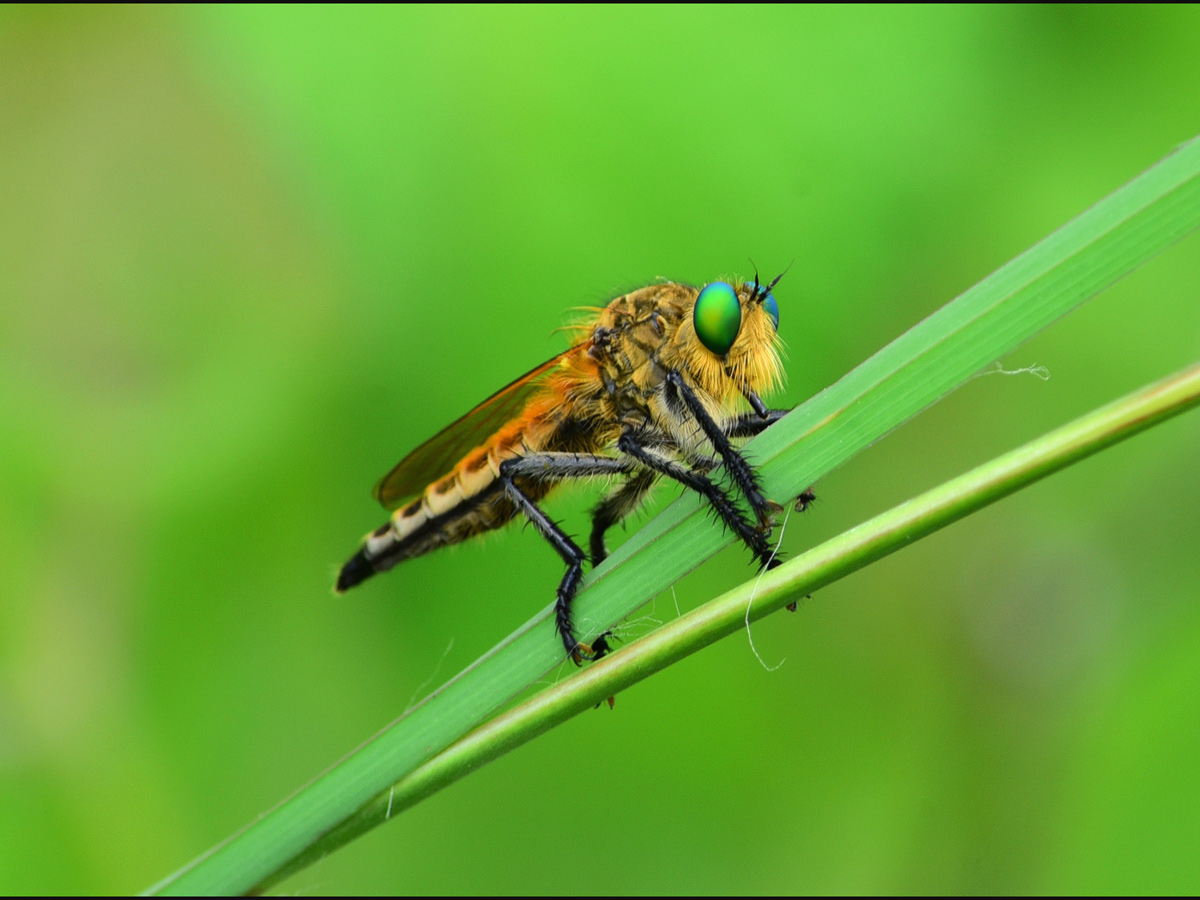 World Photography Day Photo Gallery - Sakshi18