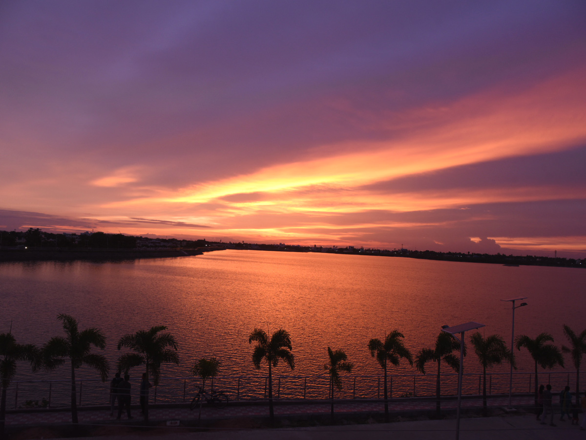 World Photography Day Photo Gallery - Sakshi20