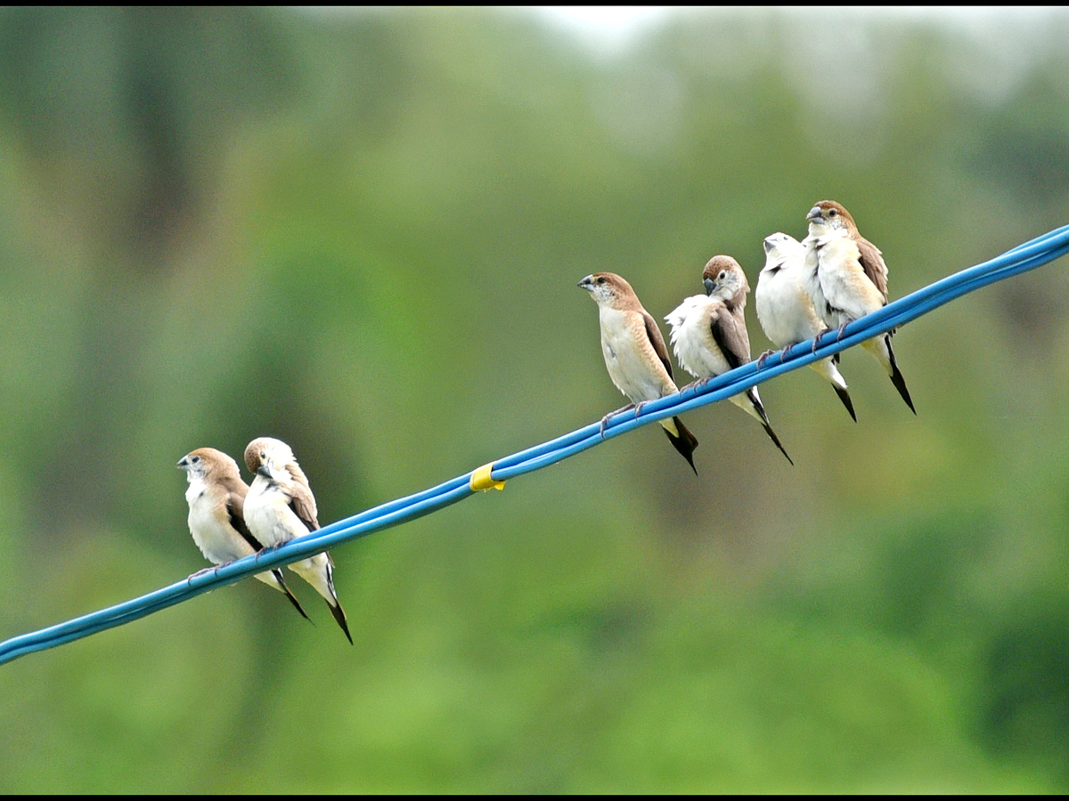 World Photography Day Photo Gallery - Sakshi21