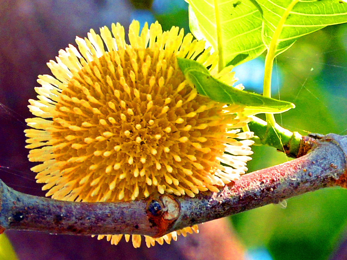 World Photography Day Photo Gallery - Sakshi25