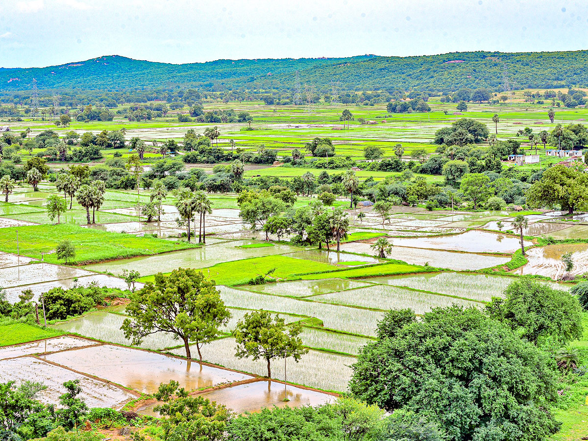 World Photography Day Photo Gallery - Sakshi1