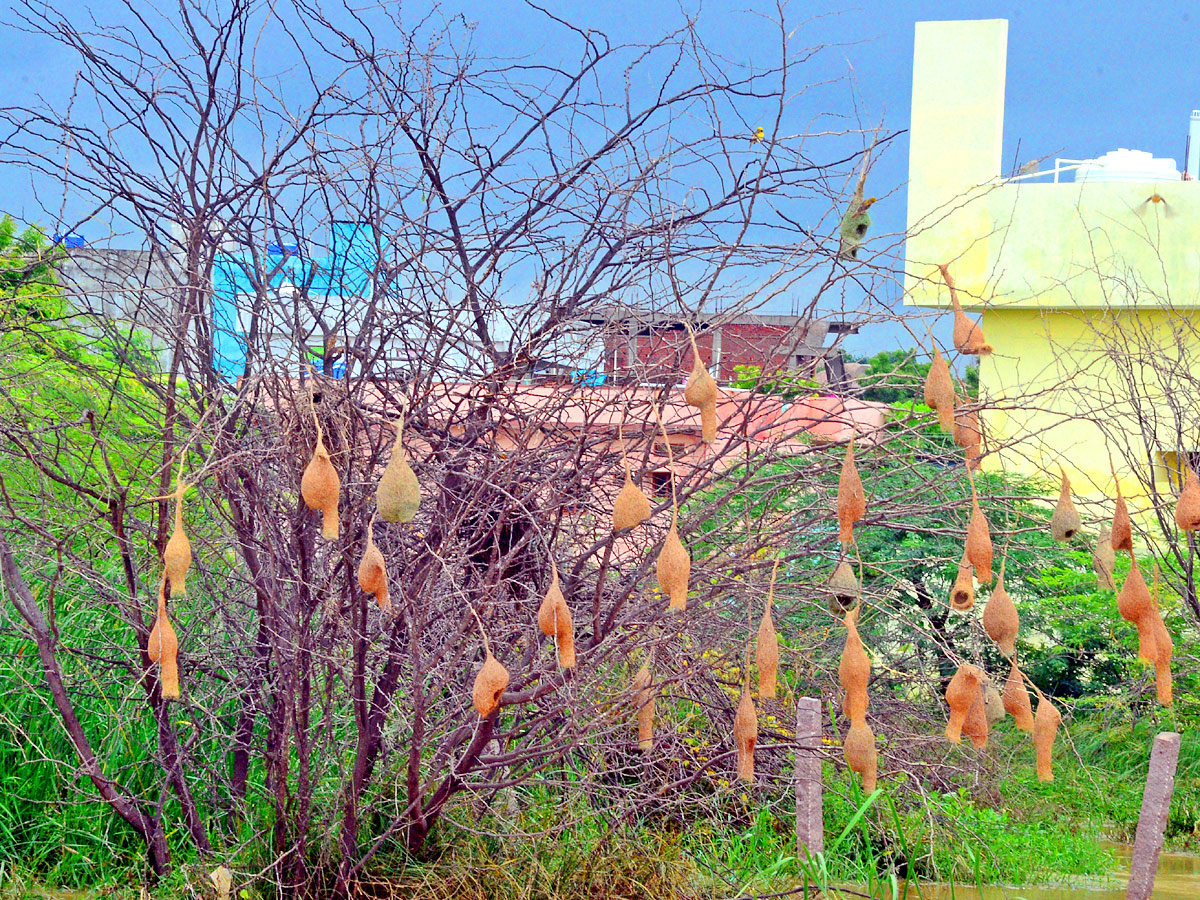 World Photography Day Photo Gallery - Sakshi32