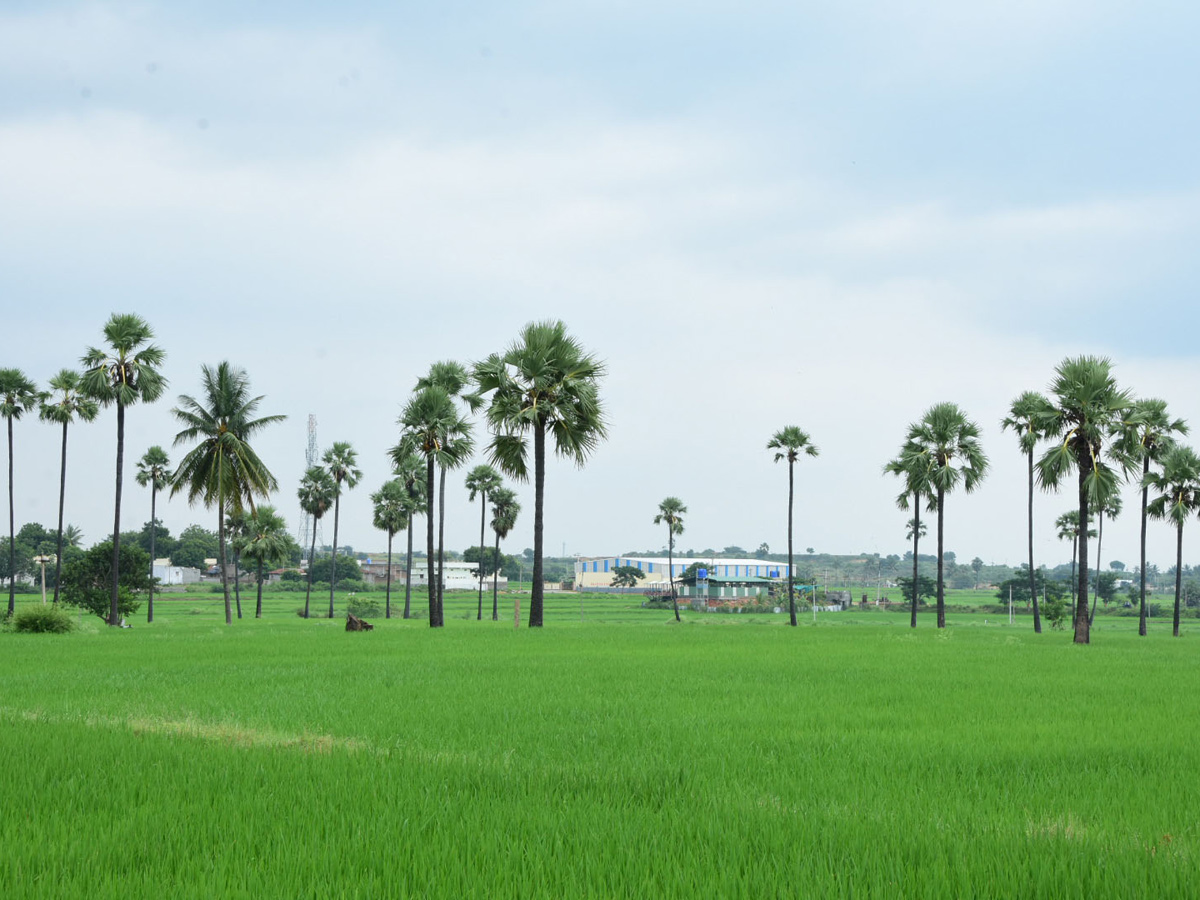 World Photography Day Photo Gallery - Sakshi23