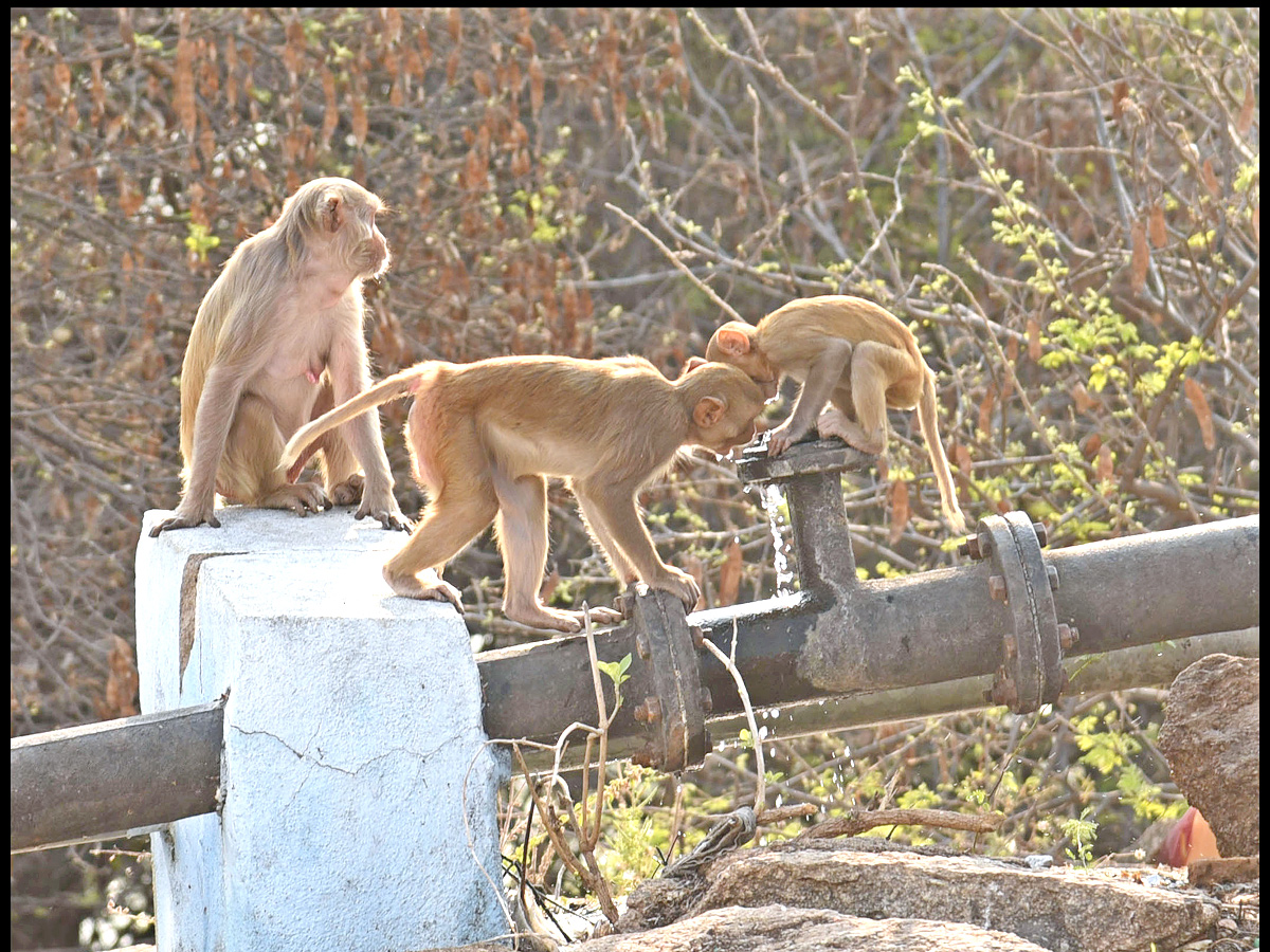 World Photography Day Photo Gallery - Sakshi5