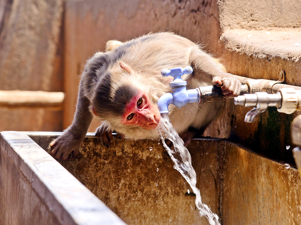 World Photography Day Photo Gallery - Sakshi8