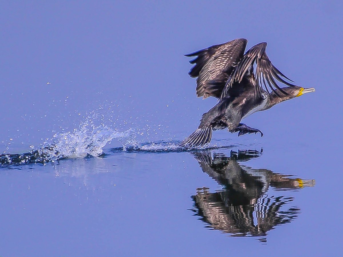 World Photography Day Photo Gallery - Sakshi9