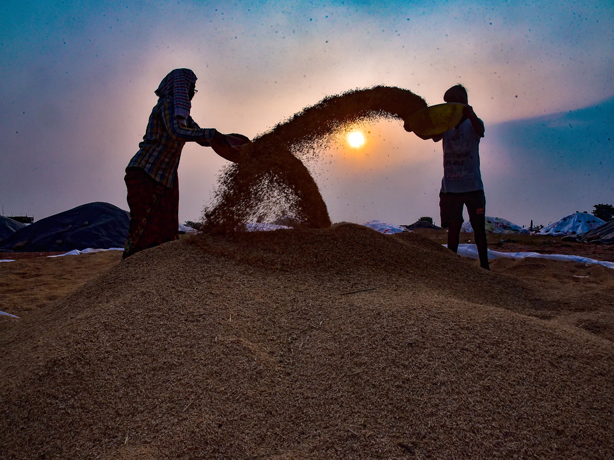 World Photography Day Photo Gallery - Sakshi10