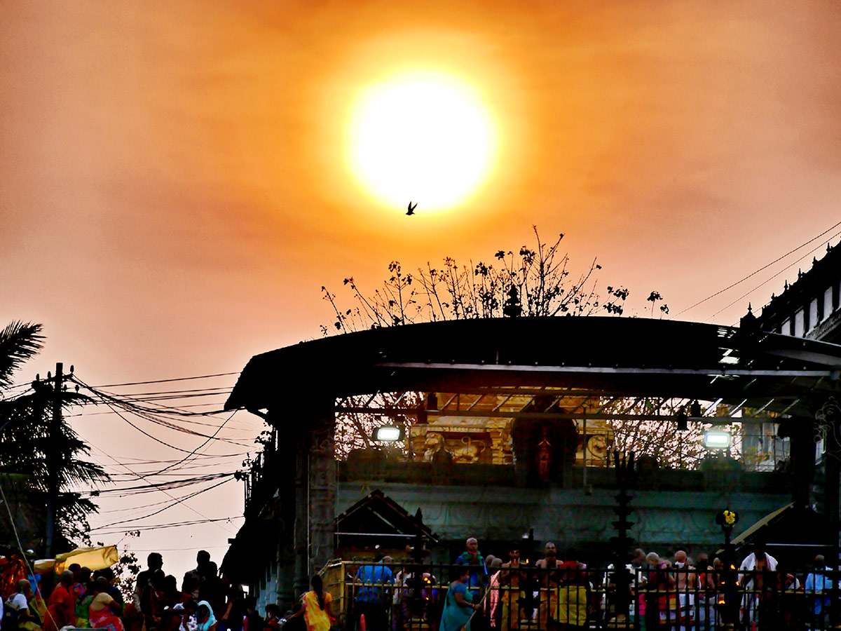 Best photos of the week 29 August to September 05, 2021 Photo Gallery - Sakshi36