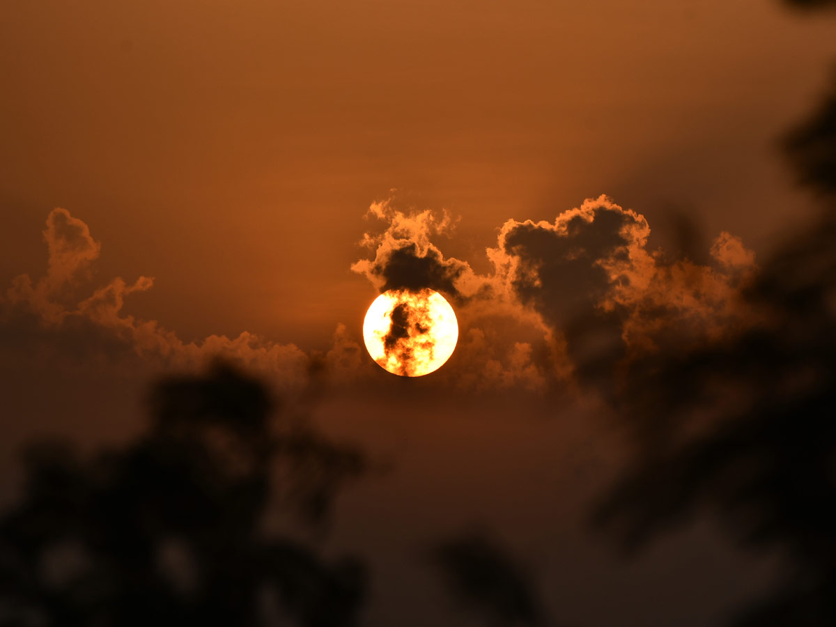 Best photos of the week 29 August to September 05, 2021 Photo Gallery - Sakshi42