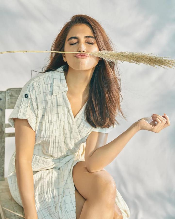 Pooja Hegde Latest Photos - Sakshi3
