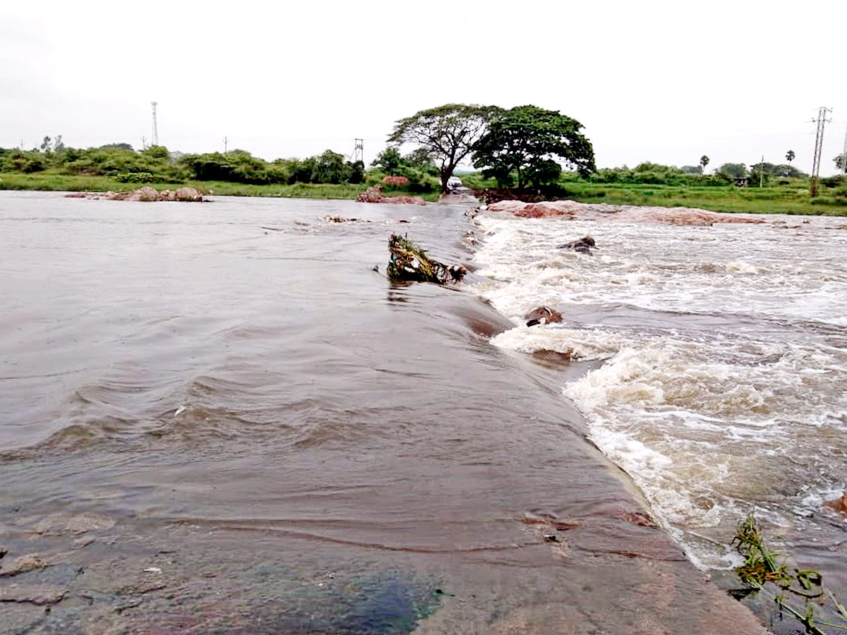 Heavy Rains Telangana Photo Gallery - Sakshi24