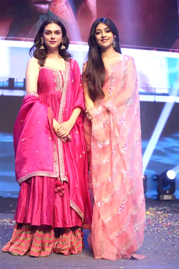 Grand Pre Release Event of Maha Samudram Photo Gallery - Sakshi18