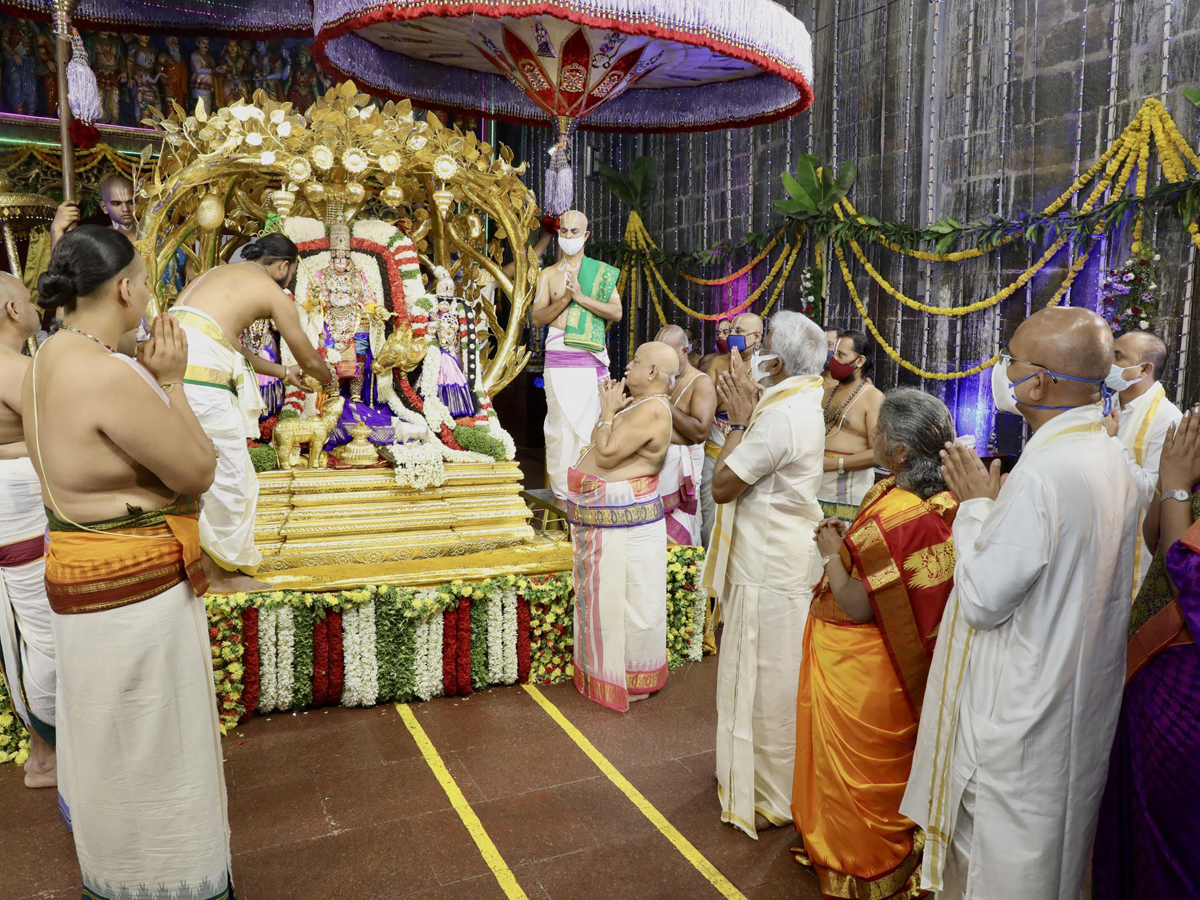 Tirumala Brahmotsavam : Srivaru on Kalpavriksha Vahanam Photo Gallery - Sakshi1