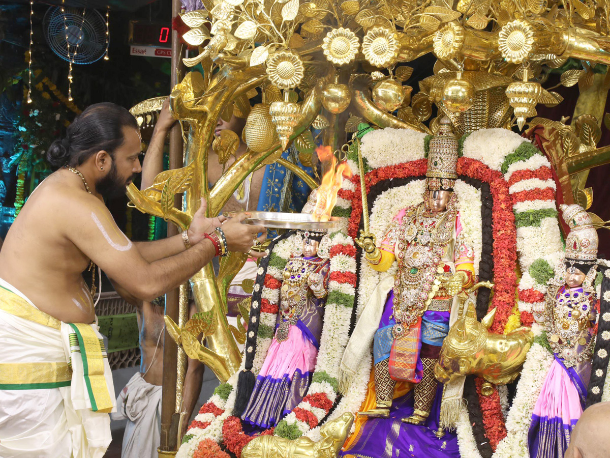 Tirumala Brahmotsavam : Srivaru on Kalpavriksha Vahanam Photo Gallery - Sakshi4