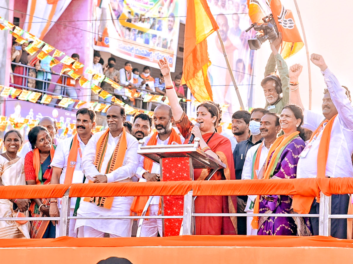 Best photos of the week October 10 to October 17, 2021 Photo Gallery - Sakshi45