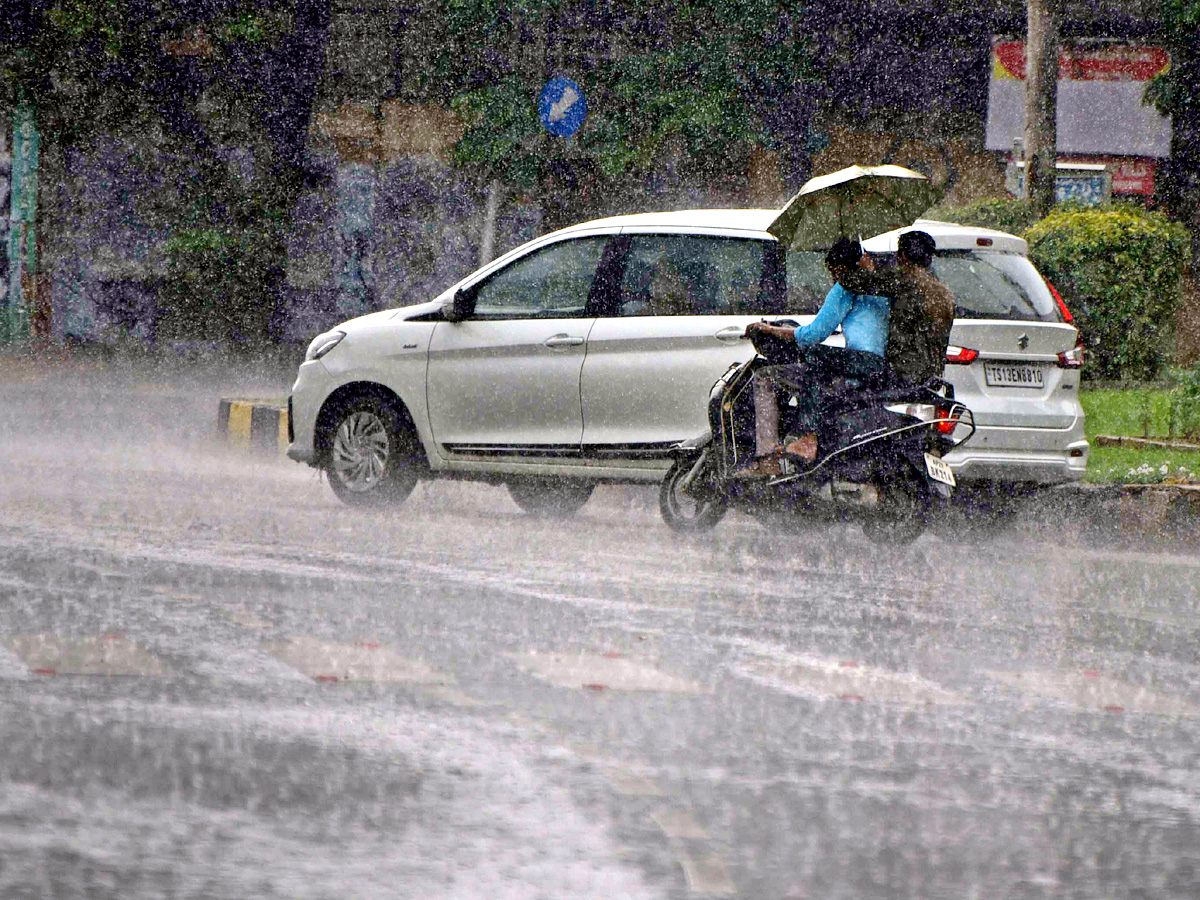 Best photos of the week October 17 to October 24, 2021 Photo Gallery - Sakshi13