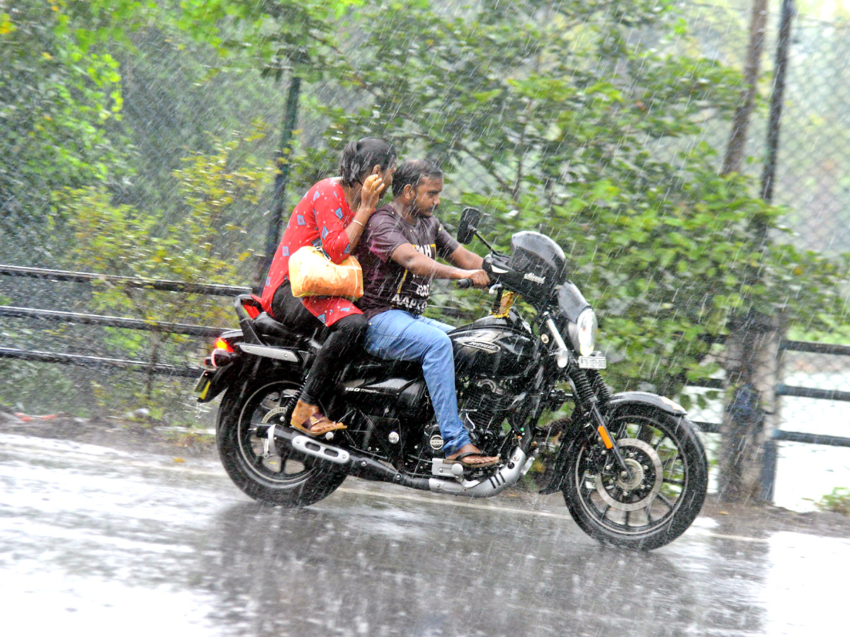 Best photos of the week October 17 to October 24, 2021 Photo Gallery - Sakshi3