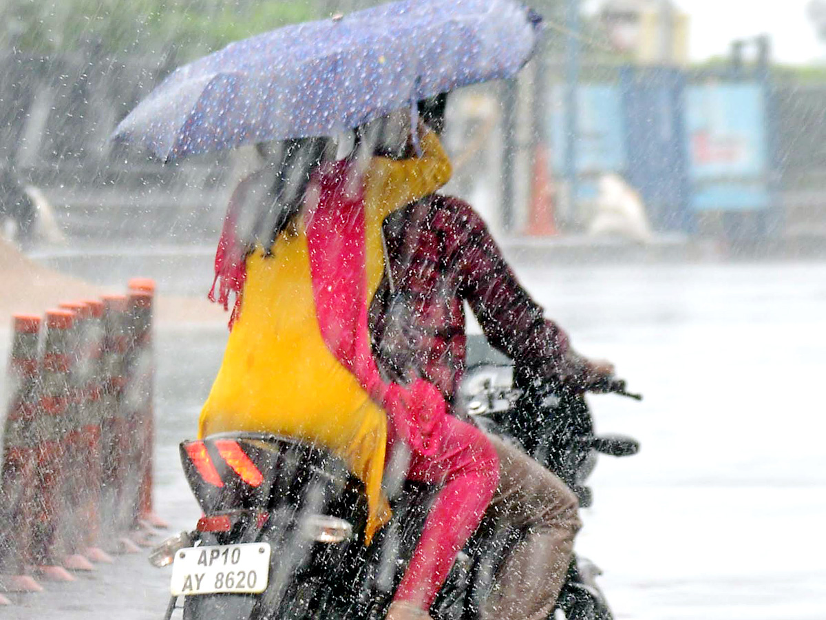 Best photos of the week October 17 to October 24, 2021 Photo Gallery - Sakshi8