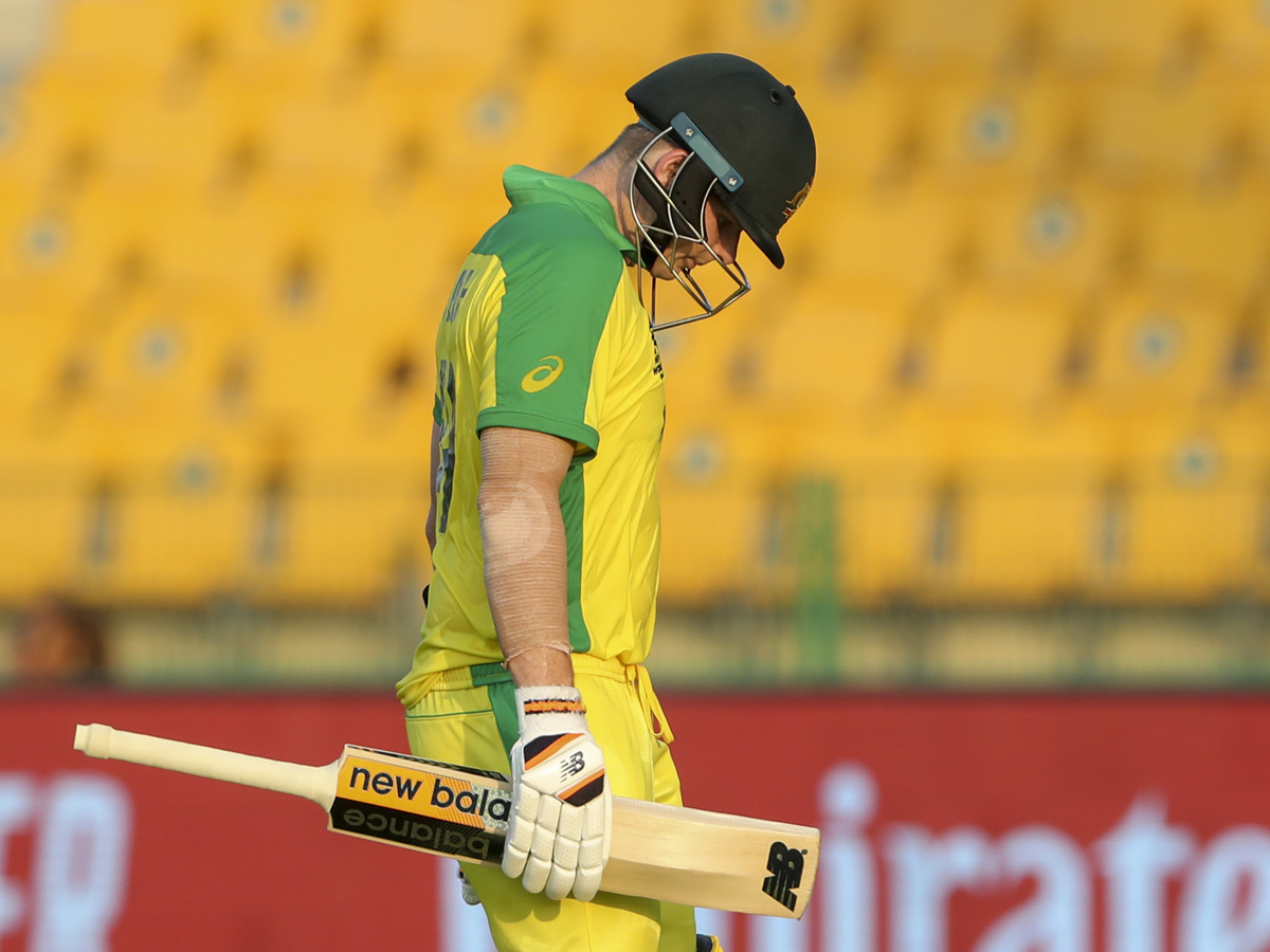 Australia win by 5 Wickets With South Africa Photo Gallery - Sakshi24