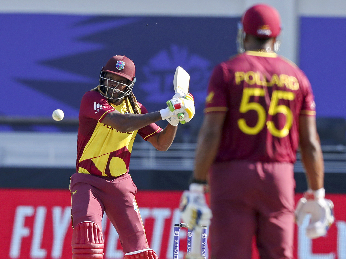 South Africa beat West Indies by 8 wickets Photo Gallery - Sakshi19
