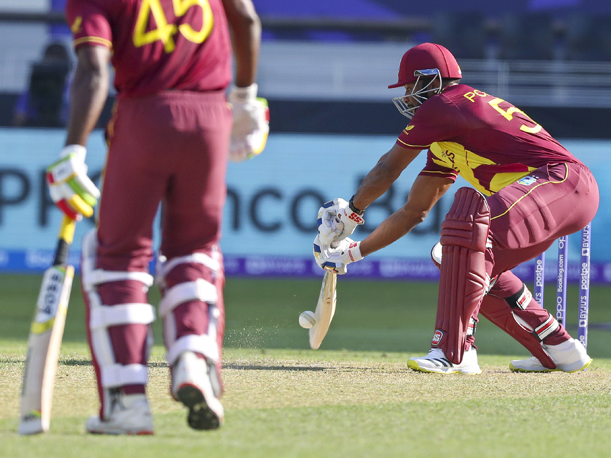 South Africa beat West Indies by 8 wickets Photo Gallery - Sakshi3