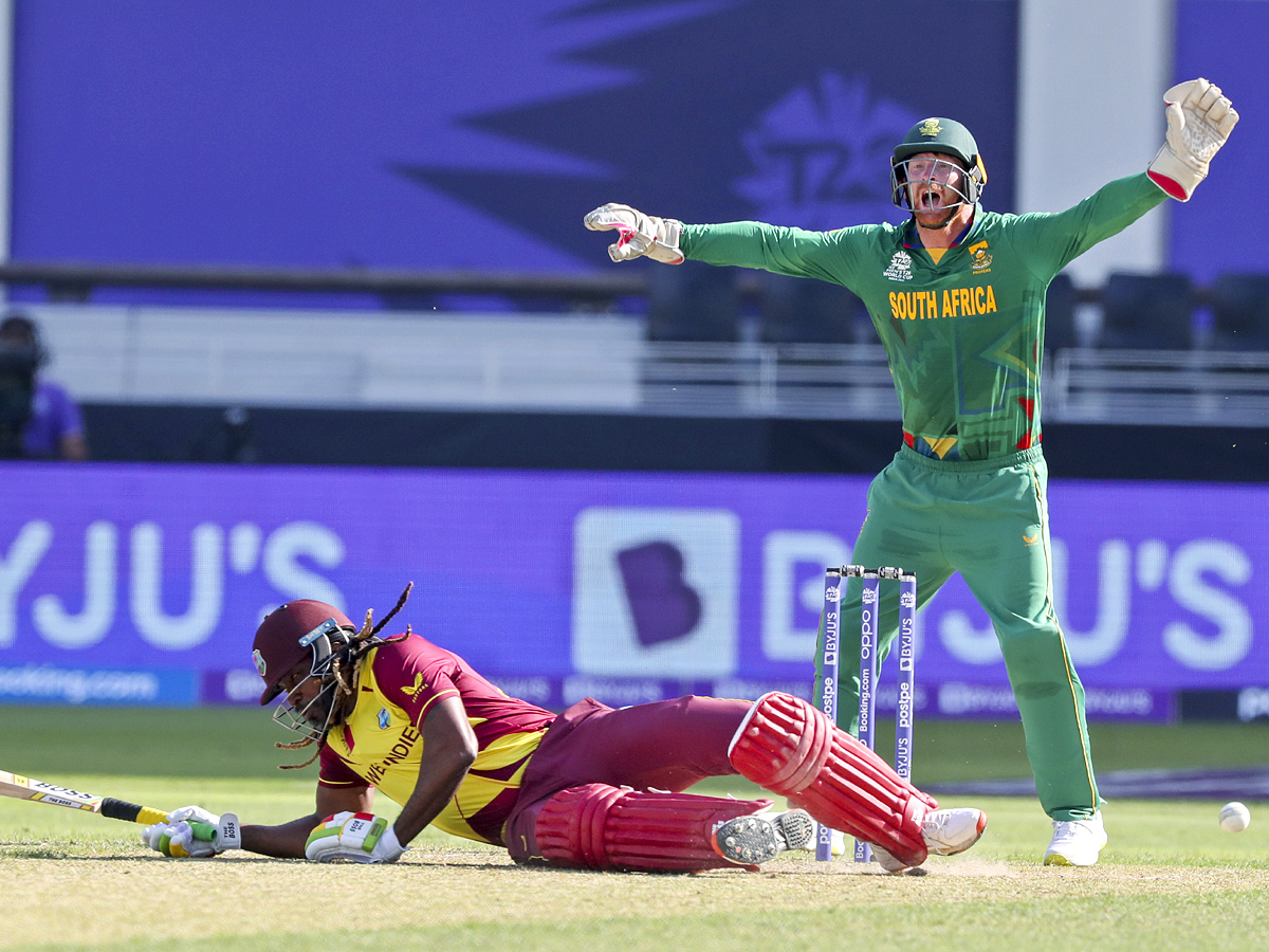 South Africa beat West Indies by 8 wickets Photo Gallery - Sakshi25