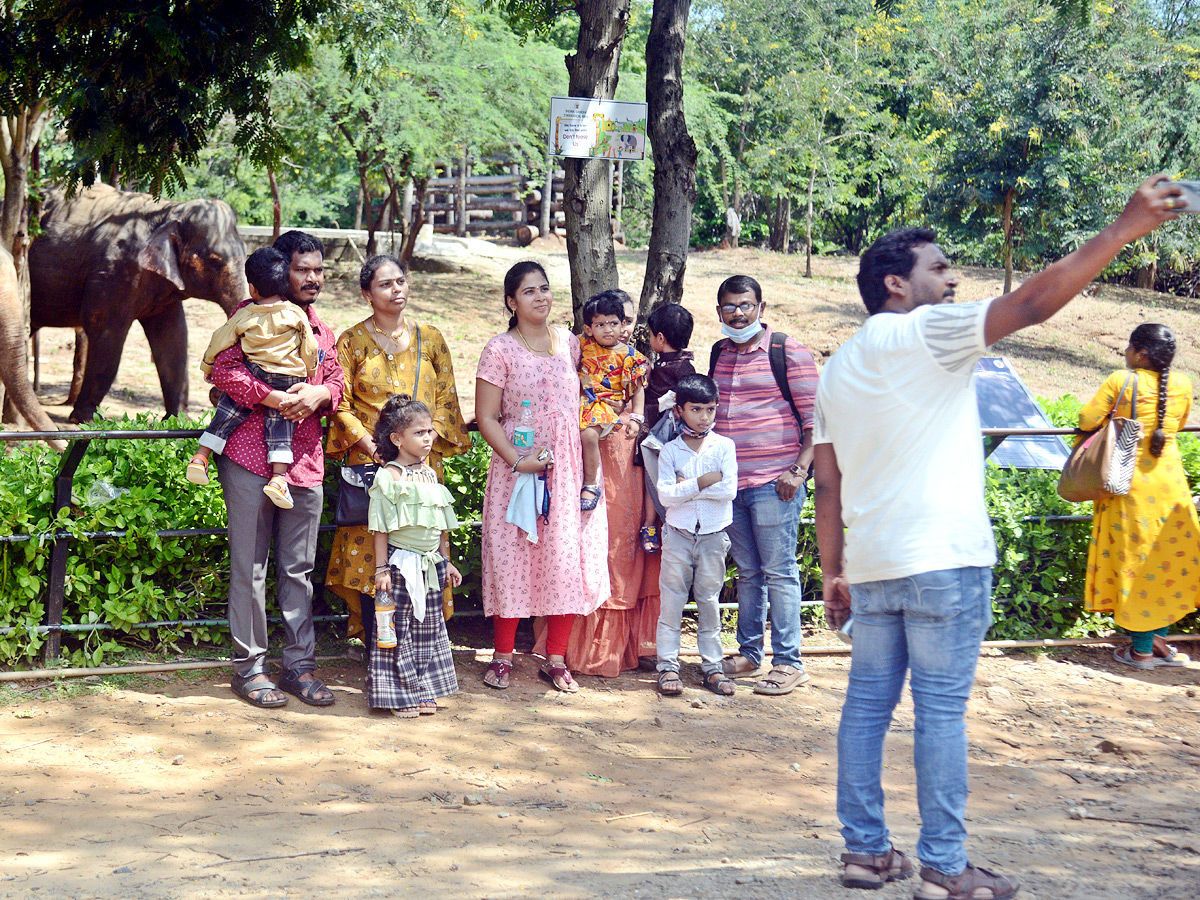 Photo : Indira Gandhi Zoological Park In Visakhapatnam - Sakshi5