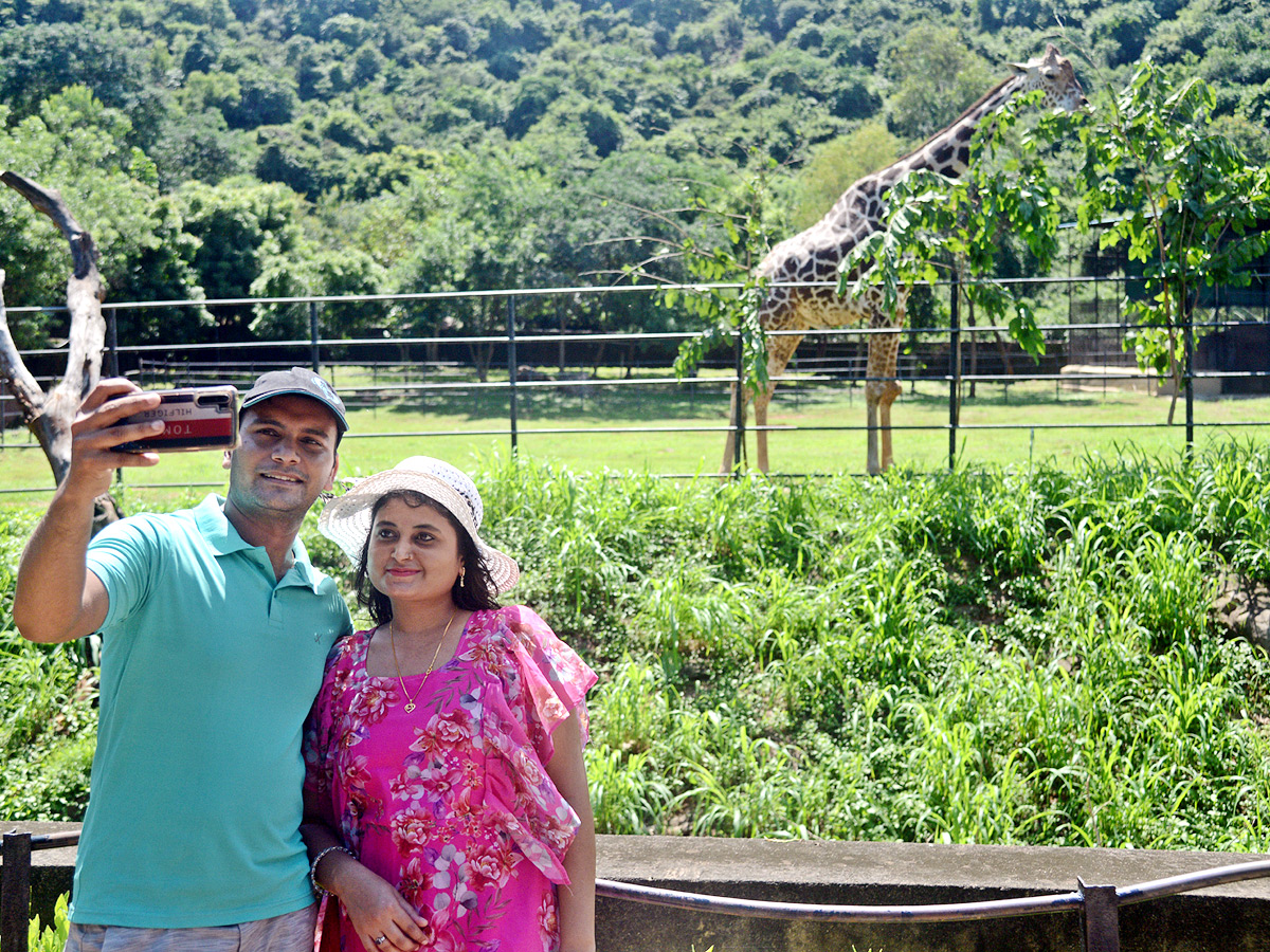 Photo : Indira Gandhi Zoological Park In Visakhapatnam - Sakshi1