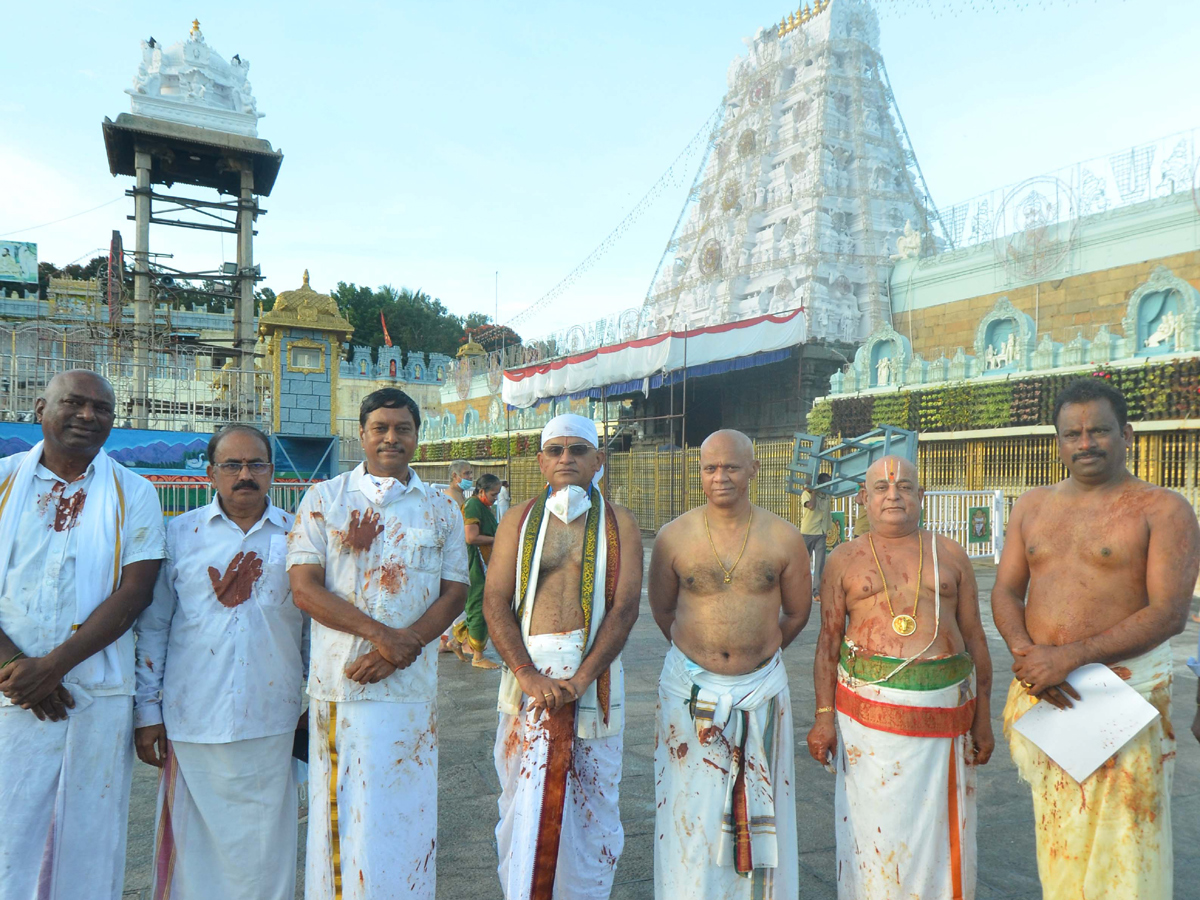 Koil Alwar Thirumanjanam Performed At Tirumala Tirupati Temple Photo Gallery - Sakshi3