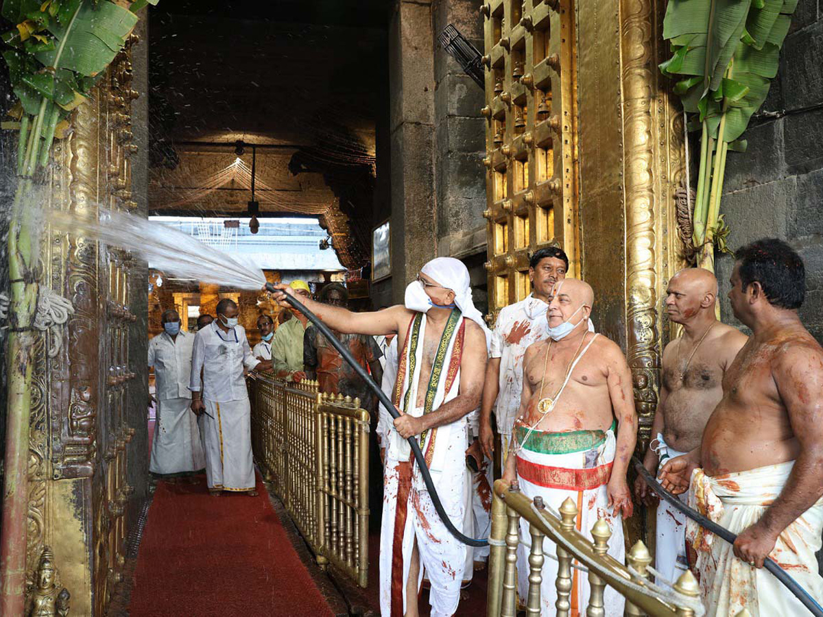 Koil Alwar Thirumanjanam Performed At Tirumala Tirupati Temple Photo Gallery - Sakshi1