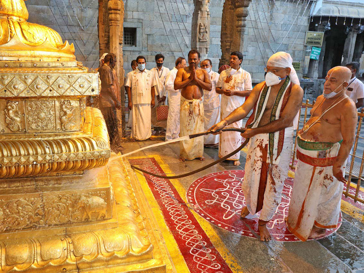 Koil Alwar Thirumanjanam Performed At Tirumala Tirupati Temple Photo Gallery - Sakshi4
